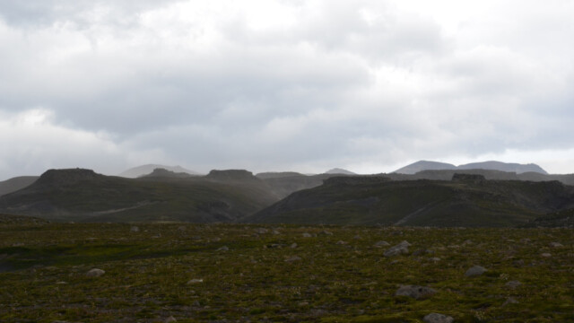 Á hálsi © Trausti Baldursson