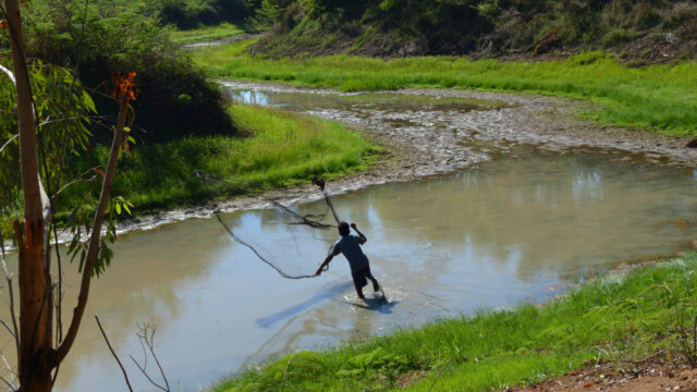 Að veiðum-© Trausti Baldursson
