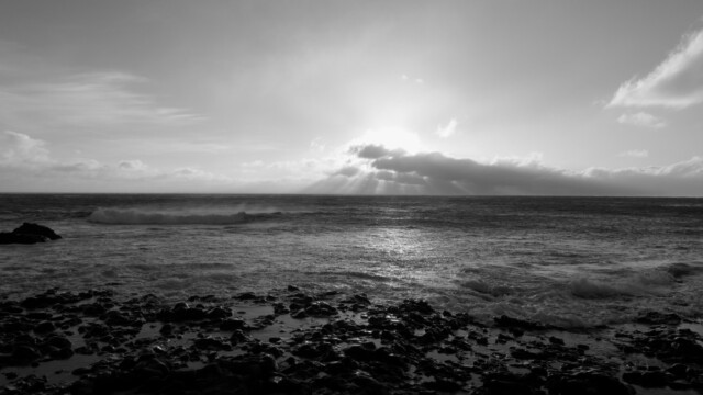 Fjörumynd © Trausti Baldursson Fjörumynd-© Trausti Baldursson