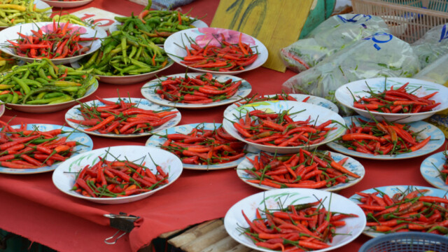 Kryddað-© Trausti Baldursson