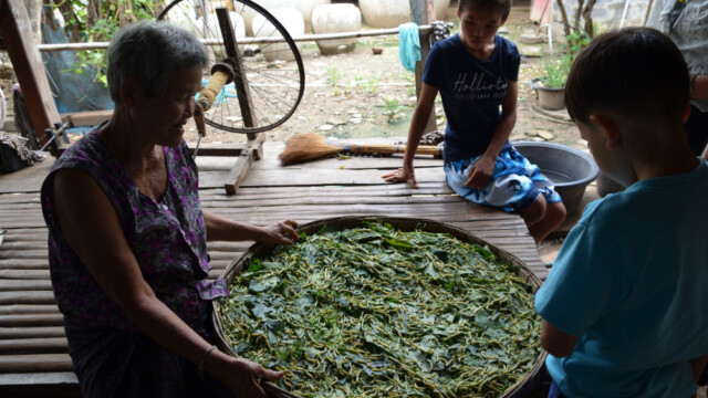Ormarnir og börnin-© Trausti Baldursson