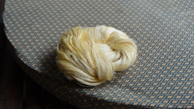 Silkið-© Trausti Baldursson