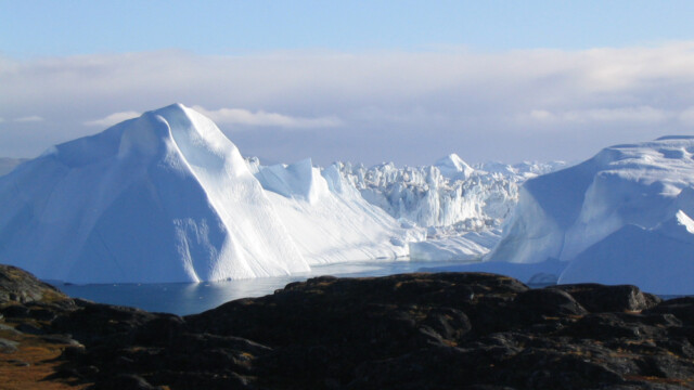 Að kveðast á I-©Trausti Baldursson Að kveðast á I-©Trausti Baldursson