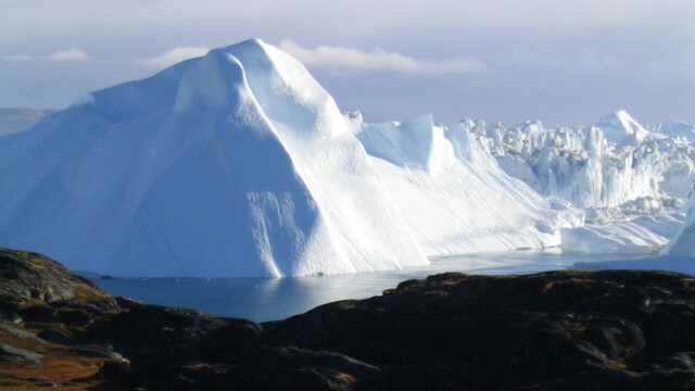 Að kveðast á II-©Trausti Baldursson Að kveðast á II-©Trausti Baldursson