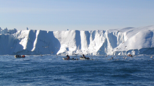 Að veiðum-©Trausti Baldursson Að veiðum-©Trausti Baldursson