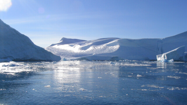 Birta-©Trausti Baldursson Birta-©Trausti Baldursson