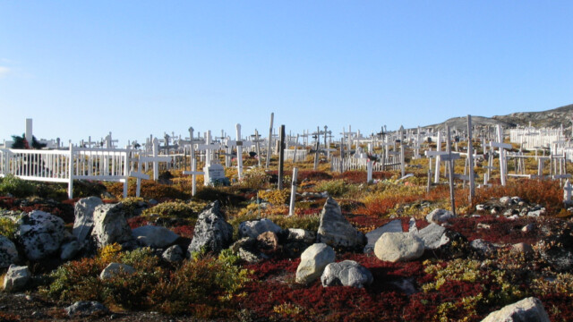 Hart undir I-©Trausti Baldursson Hart undir I-©Trausti Baldursson