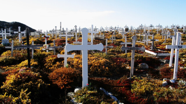 Hart undir II-©Trausti Baldursson Hart undir II-©Trausti Baldursson