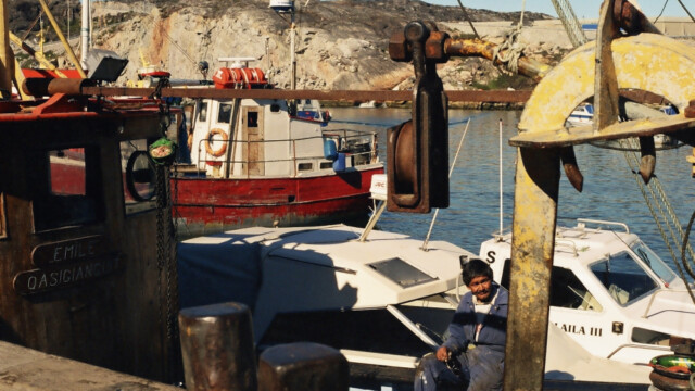 Í höfninni-©Trausti Baldursson Í höfninni-©Trausti Baldursson