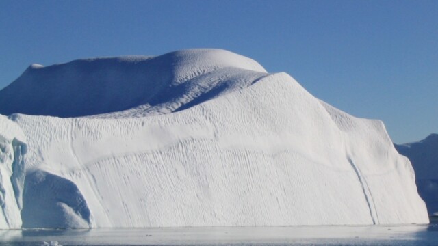 Í ró eins og er-©Trausti Baldursson Í ró eins og er-©Trausti Baldursson