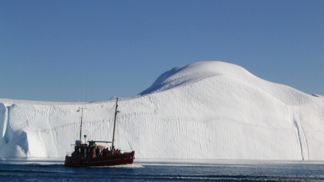 Mýkt-©Trausti Baldursson Mýkt-©Trausti Baldursson