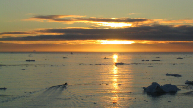 Silgt til hafs í sól og blíðu-©Trausti Baldursson Silgt til hafs í sól og blíðu-©Trausti Baldursson