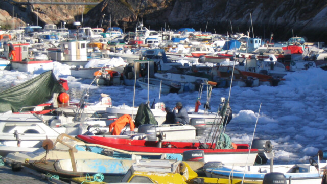 Smáís-©Trausti Baldursson Smáís-©Trausti Baldursson