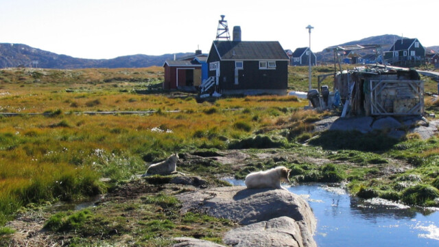 Snjóleysishvíld-©Trausti Baldursson Snjóleysishvíld-©Trausti Baldursson