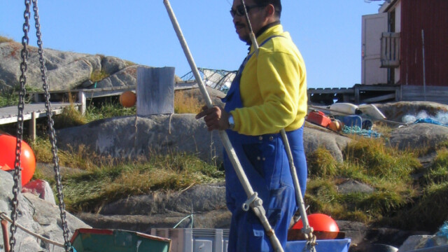 Stund-©Trausti Baldursson Stund-©Trausti Baldursson