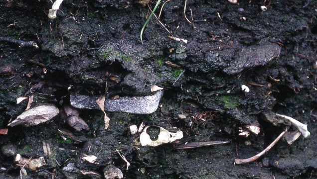 Eldhúshaugur ©Trausti Baldursson Eldhúshaugur ©Trausti Baldursson