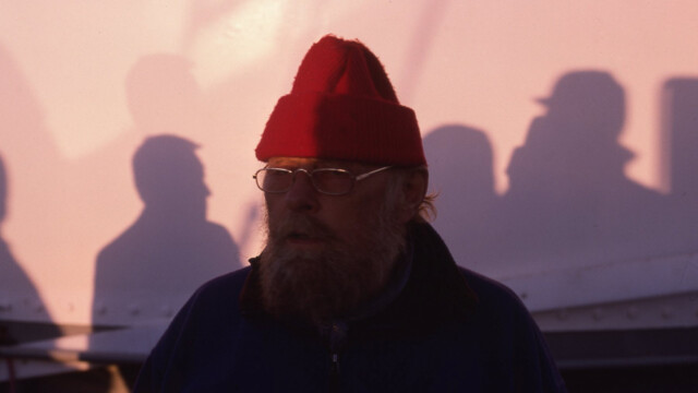 Með rauða húfu-©Trausti Baldursson Með rauða húfu-©Trausti Baldursson