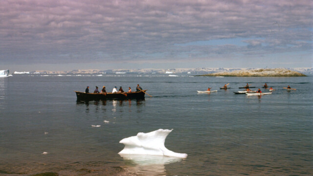 Silgt um Diskóflóa ©Trausti Baldursson Silgt um Diskóflóa ©Trausti Baldursson