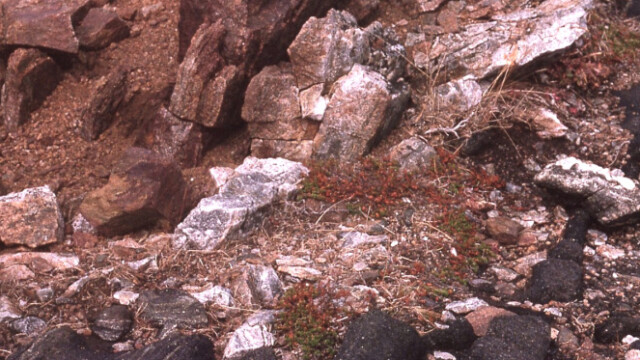 Um fjagra milljarða ára-©Trausti Baldursson Um fjagra milljarða ára-©Trausti Baldursson