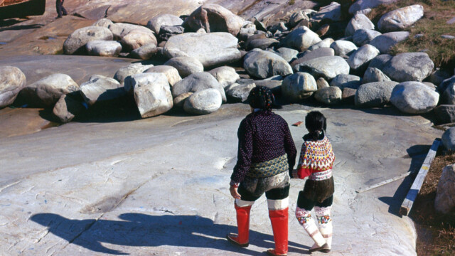 Ung nemur ©Trausti Baldursson Ung nemur ©Trausti Baldursson