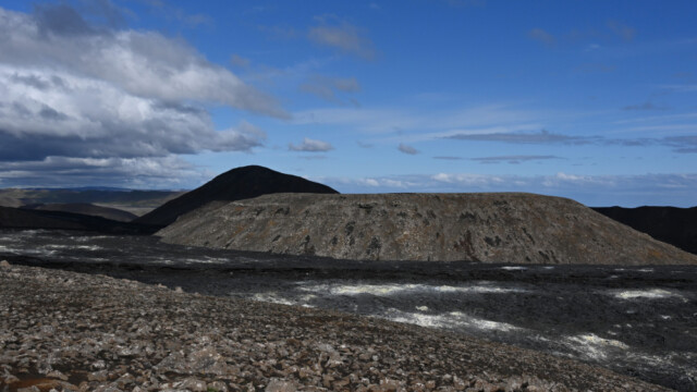 Fjallabirta © Trausti Baldursson Fjallabirta © Trausti Baldursson