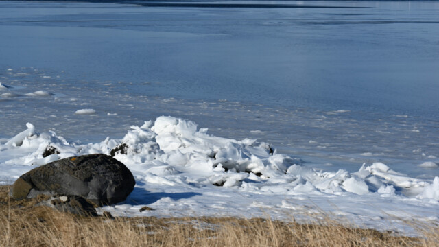 Álftanes að vetri © Trausti Baldursson Álftanes að vetri © Trausti Baldursson