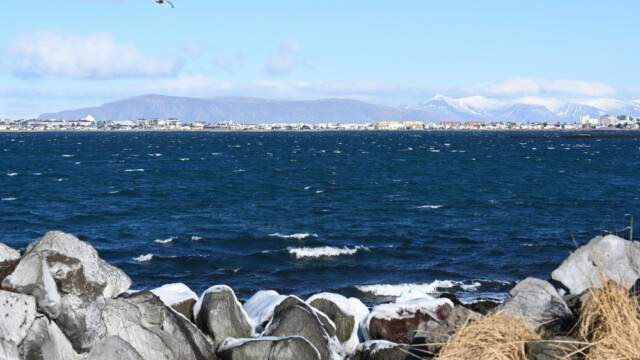 Álftanes að vetri © Trausti Baldursson Álftanes að vetri © Trausti Baldursson