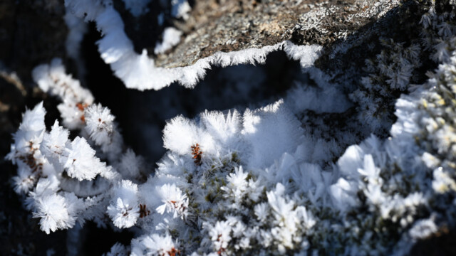 Frostnálar © Trausti Baldursson Frostnálar © Trausti Baldursson