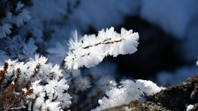 Frostnálar © Trausti Baldursson Frostnálar 5 © Trausti Baldursson