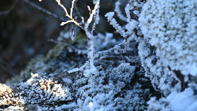 Frostnálar © Trausti Baldursson Frostnálar © Trausti Baldursson