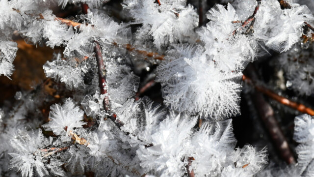 Frostnálar © Trausti Baldursson Frostnálar © Trausti Baldursson