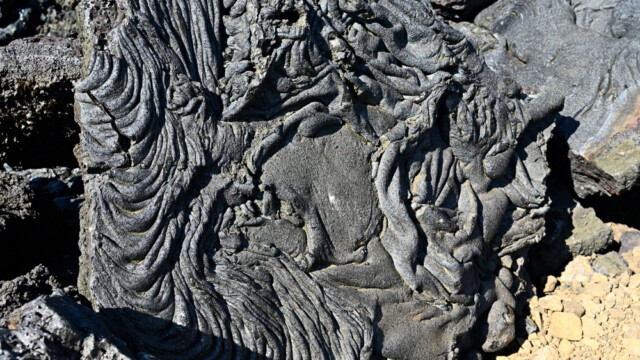 © Trausti Baldursson © Trausti Baldursson