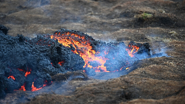 © Trausti Baldursson © Trausti Baldursson