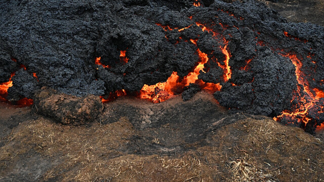 © Trausti Baldursson © Trausti Baldursson